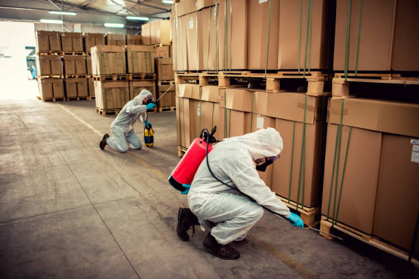 Trusted Goldendale, WA Pest Control Experts