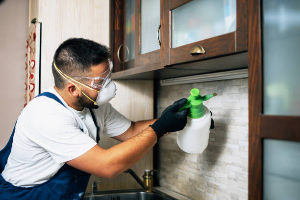 Best Termite Control Services  in Goldendale, WA