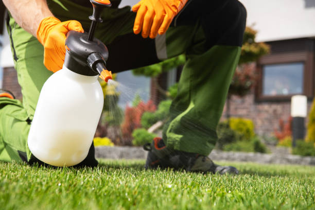 Best Rodent Control Near Me  in Goldendale, WA