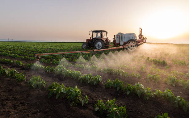 Best Pest Control Near Me  in Goldendale, WA