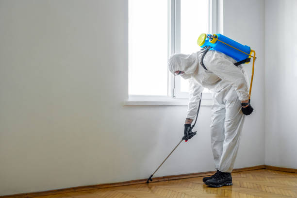 Best Pest Removal Services  in Goldendale, WA