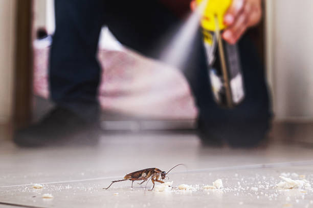 Best Residential Pest Control  in Goldendale, WA