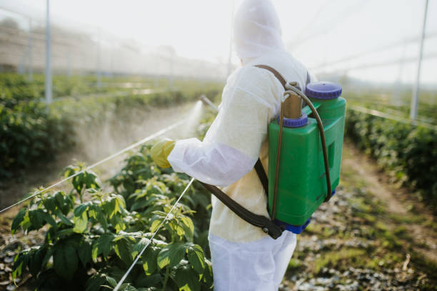 Pest Control Cost in Goldendale, WA
